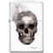 Zippo 2024 Zippo Steven Spazuk Smoke Skull White Matte ZIP-214CI407043 - alternate 1